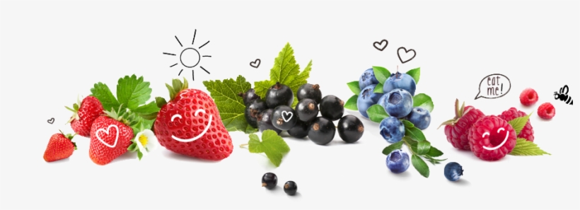 This Natural Berry Expanded In South America Has Lots - Sauna-duftkonzentrat Schwarze Johannisbeere, transparent png