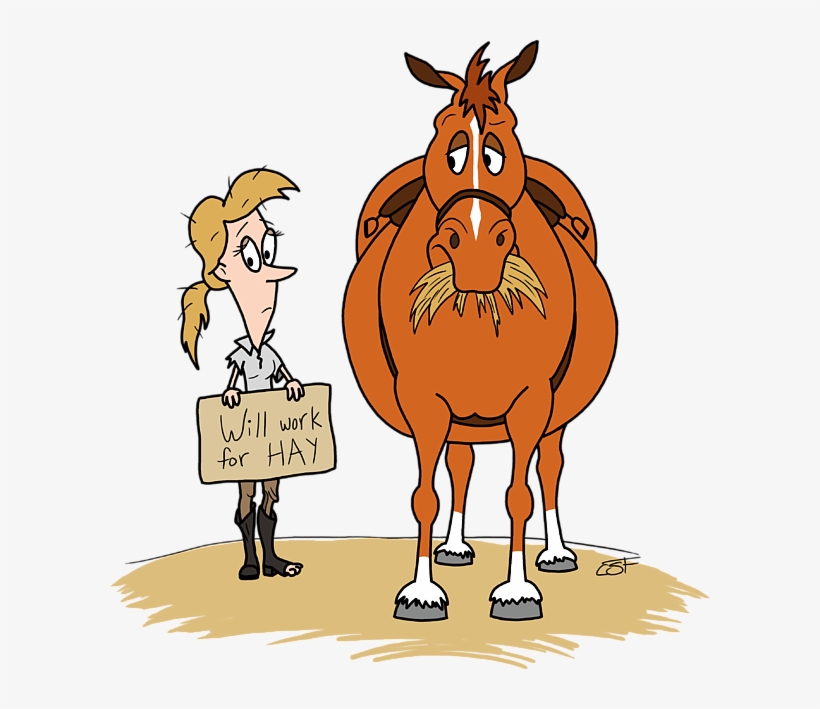 Bleed Area May Not Be Visible - New Forest Horses Funny, transparent png