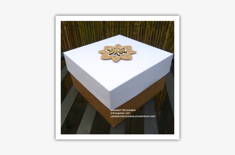 Snow Flurry And Flurry Of Wishes, Lindsey Richards, - Christmas Tree, transparent png