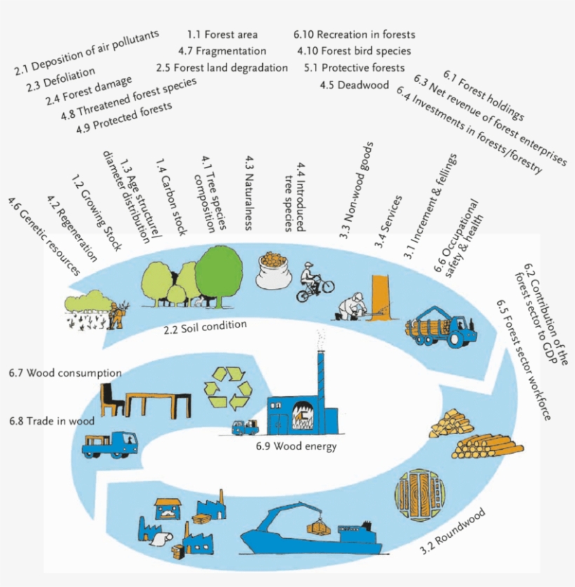Current Pan-european Indicators For Sustainable Forest - Forest, transparent png