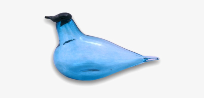 Ocean Birds Png Photos - Duck, transparent png