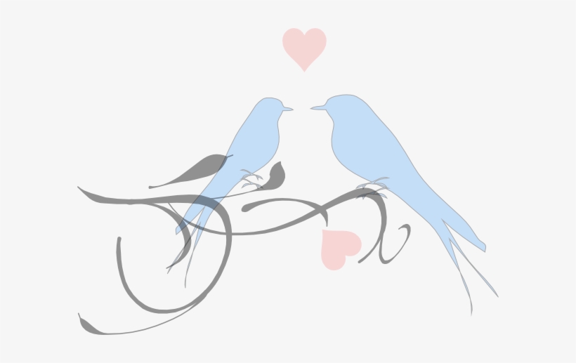 Love Birds Clipart, transparent png