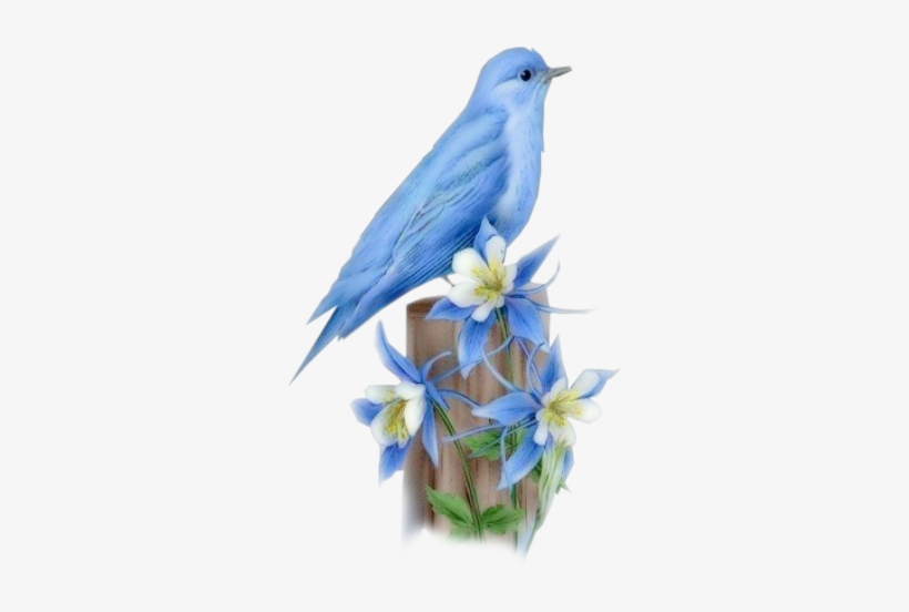 << Blue Bird, - Gifs, transparent png