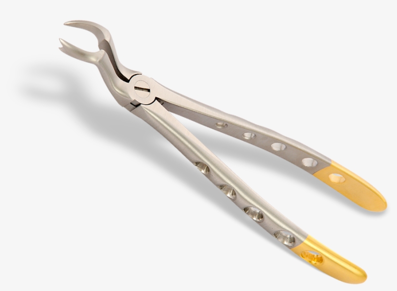 Source - - Dental Instruments Png, transparent png
