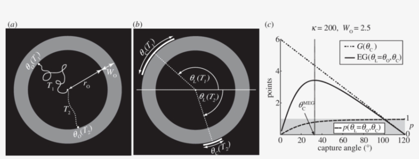 The Participant First Viewed A Small Dot That Moved - Circle, transparent png