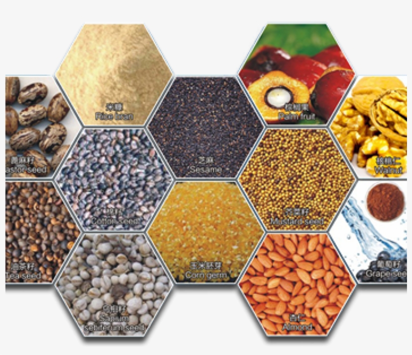 Why Does Edible Oil Have Different Condensation Point - Food Oil Banner Png, transparent png