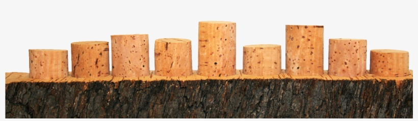 Cork Process Quality Assurance Cork Process Slide Background - Lumber, transparent png