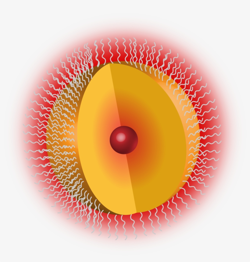 Qds Typically Have An Onion Like Structure Of Layers - Quantum Dot Core Shell, transparent png