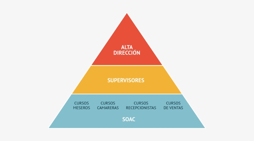 Piramide - Policy Monitoring, transparent png