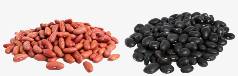Frijol Png - Grano De Frijol Png, transparent png