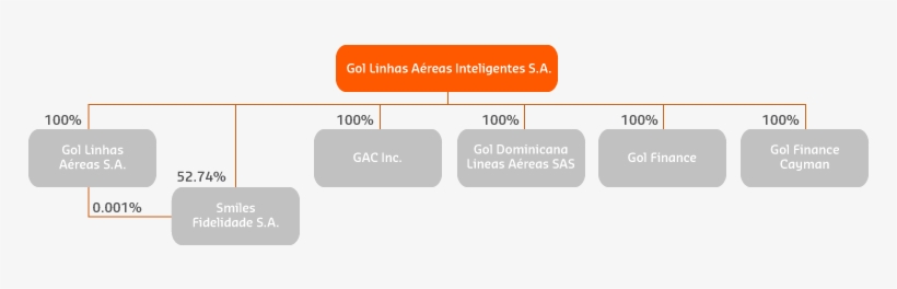 About Gol - Corporate Structure - Parallel, transparent png