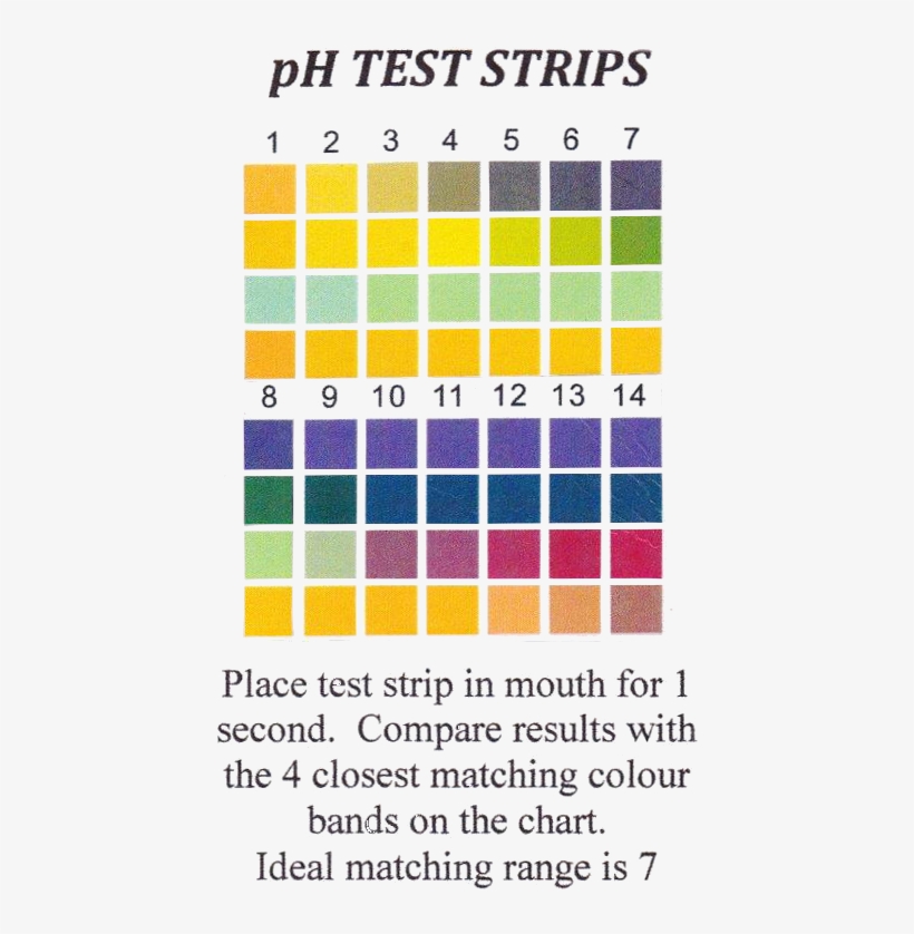 Ph Test Strips Png - Labrat Supplies Plastic Ph Test Strips, transparent png