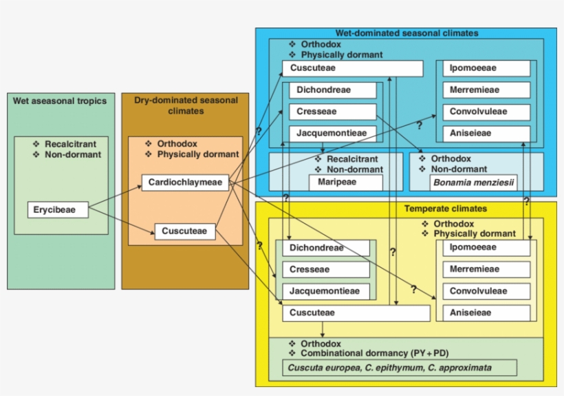 Proposed Evolutionary Change Of Seed Dormancy With - Diagram, transparent png