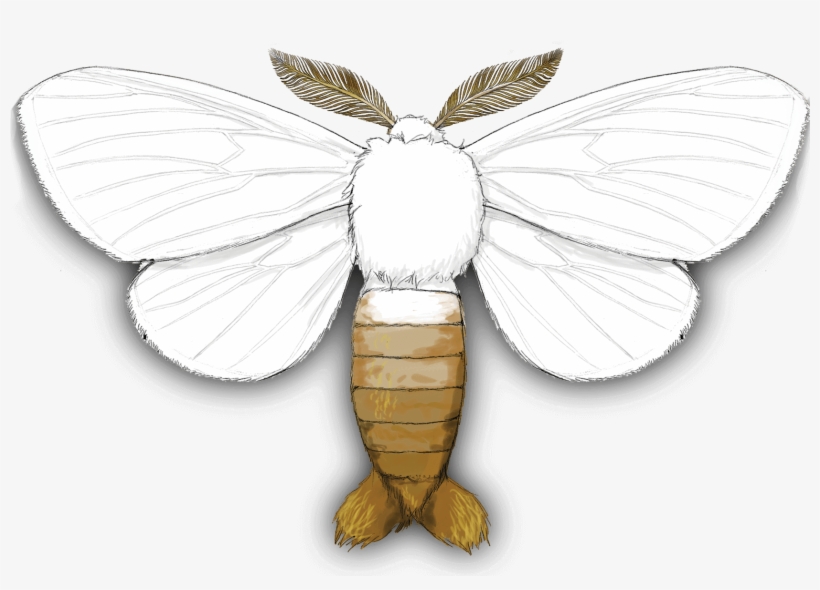 Gypsy Moth, - Lycaenid, transparent png