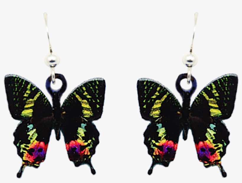 Sunset Moth - Portable Network Graphics, transparent png