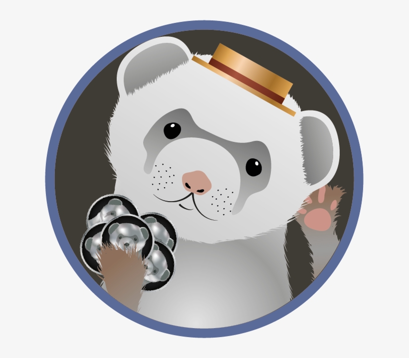 Word Of Mouth Ferret - Ferret, transparent png