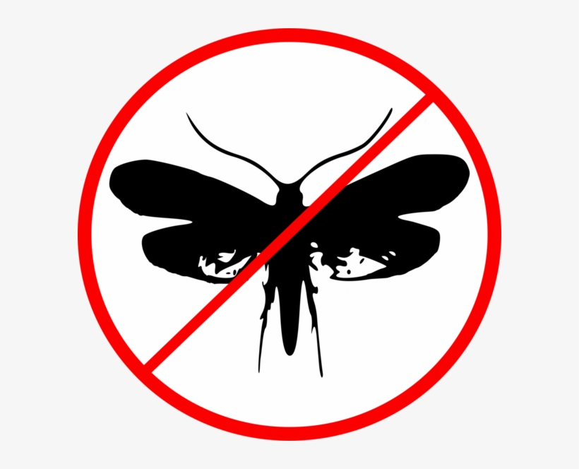 Dealing With Clothing Moths - Pee On The Toilet Floor, transparent png