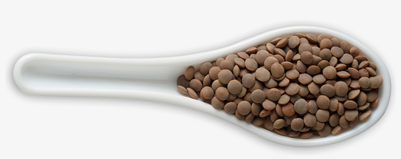 Red Lentils - Lentil Definition, transparent png