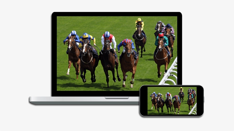 Live Horse Racing On Dish - Coast Guard Rank O-2 Lieutenant Junior Grade Sticker, transparent png