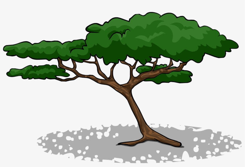 Acacia Tree Sprite 002 - Acacia Tree Clip Art Free, transparent png