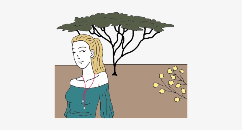 Acacia, transparent png