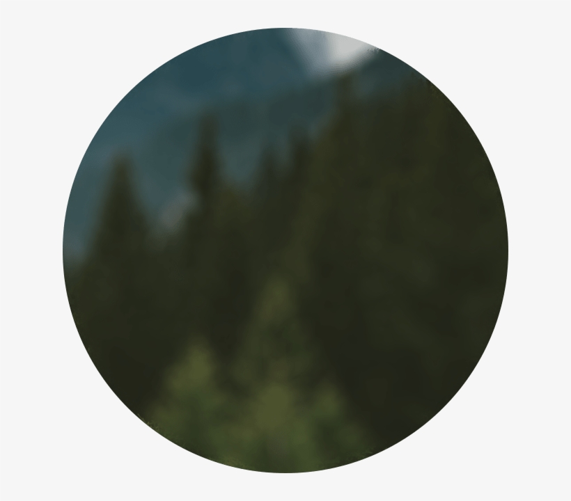 V Sh Sl 3 Circle - Circle, transparent png