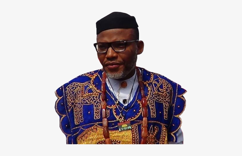 It Is Criminally Offensive For Any Right-thinking Human - Nnamdi Kanu Png, transparent png