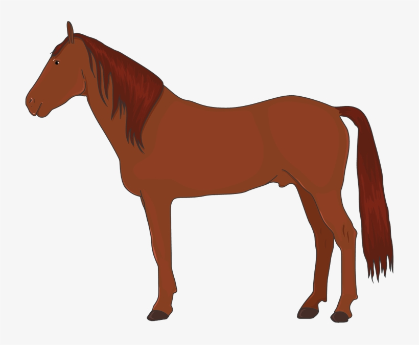 Cavalo - Лошадь Вектор Пнг, transparent png