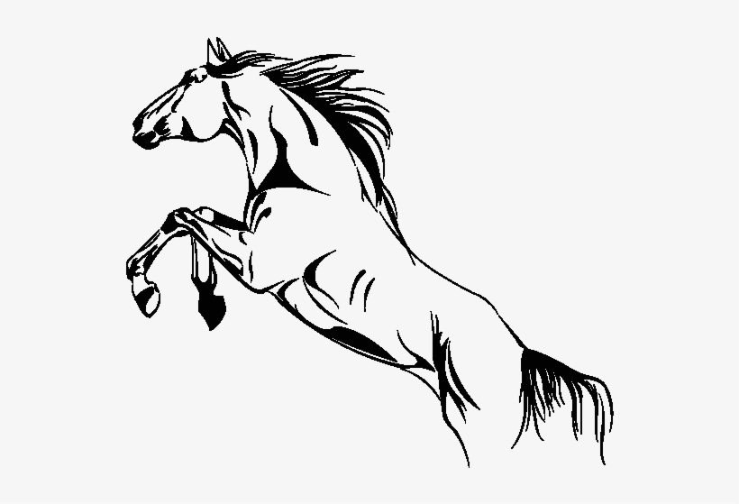 Compre Junto - Horse, transparent png