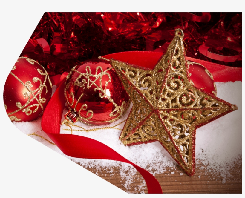 Conoce Más - Christmas Ornament, transparent png