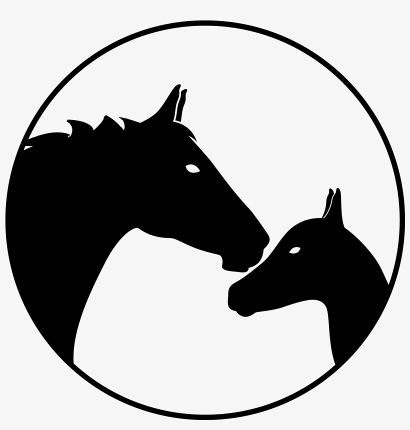 Horses & Foals - Horse, transparent png