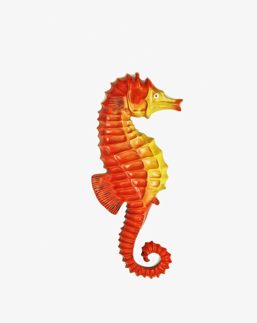 Cavalo Marinho Em Fibra Ref - Cavalo Marinho, transparent png