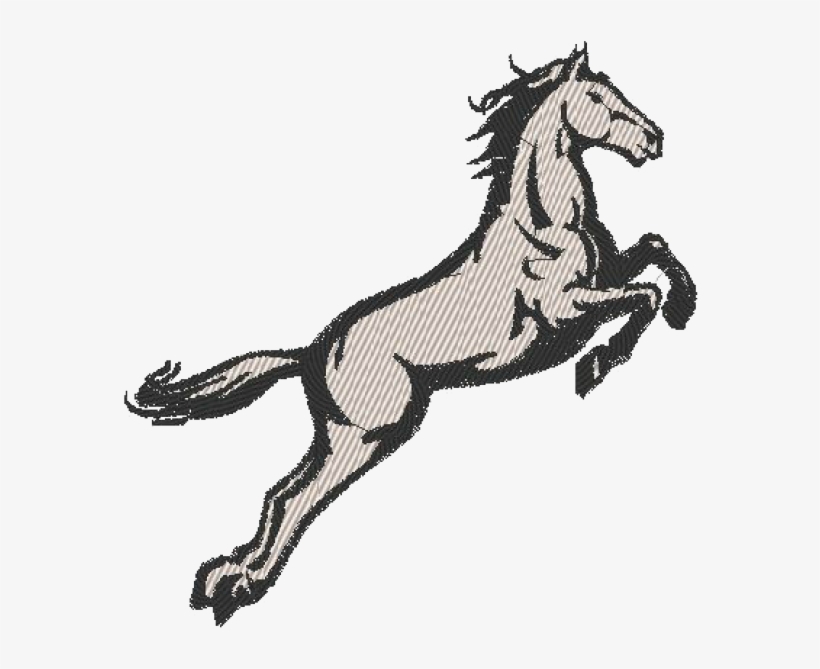 Dongguan, transparent png