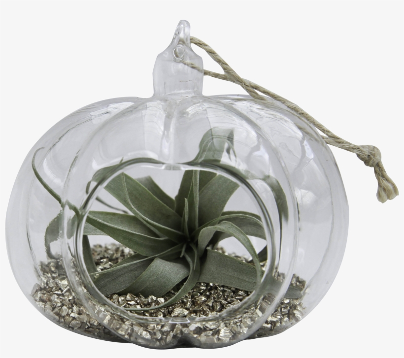 Quick View - Pumpkin, transparent png