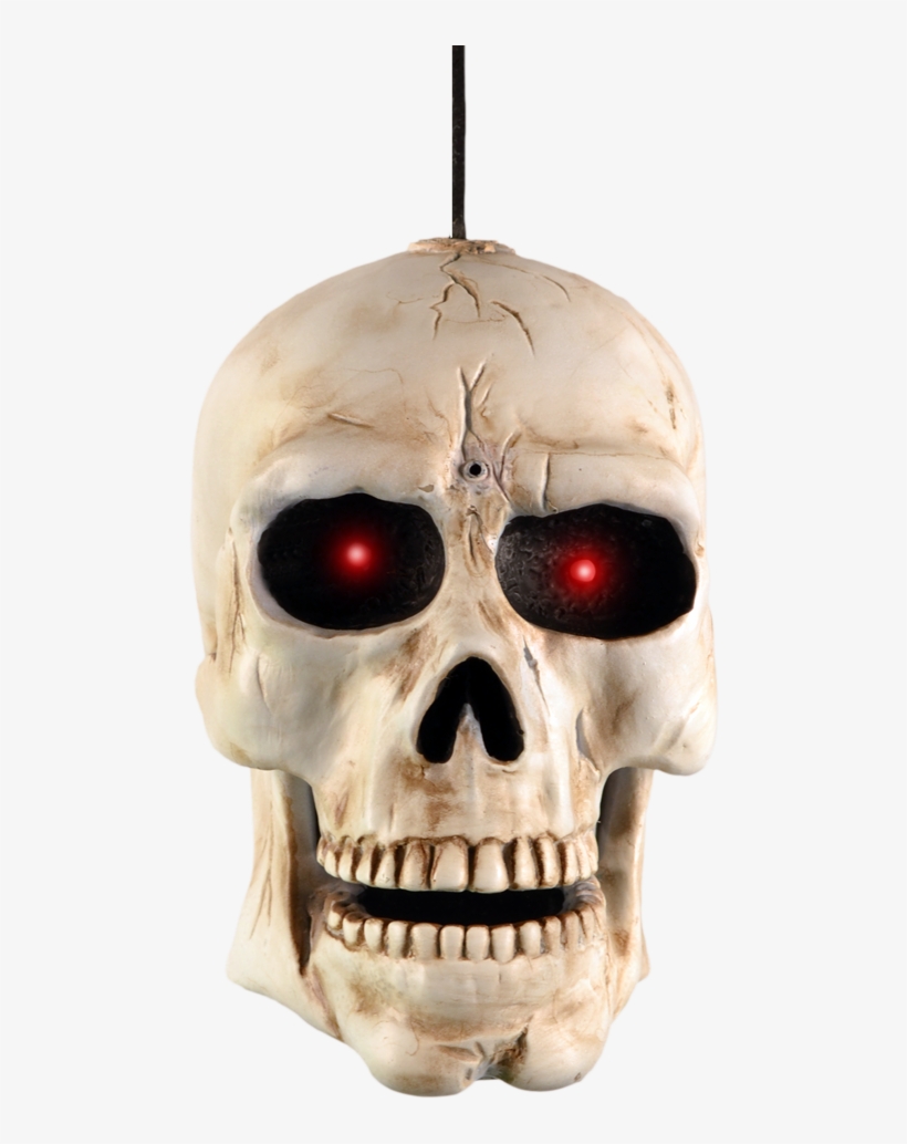 Demo Video Contact Us Enlarge Photo - Potomac Banks Bundle: 2 Items - Singing Animated Skull, transparent png