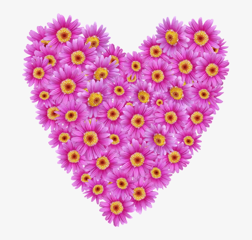 Daisies, Heart, Valentine, Romantic, Floral - Heart, transparent png