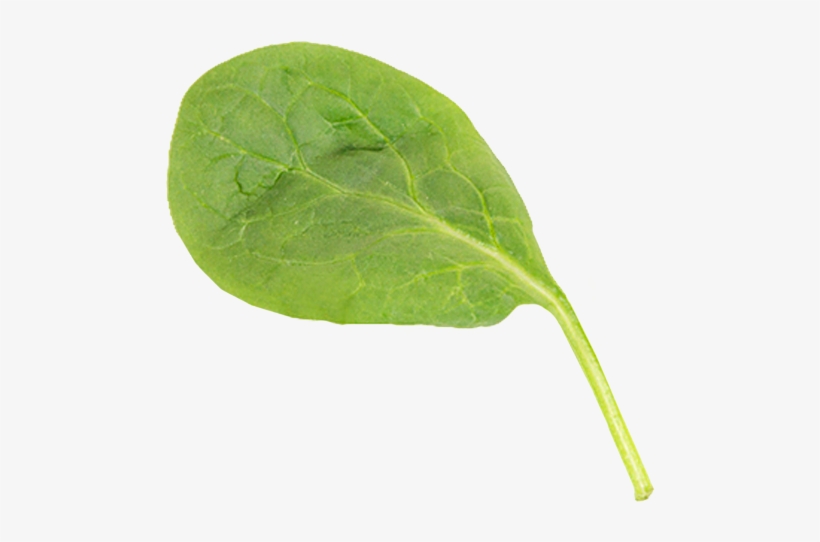 Award Winning Innovation - Home Page, transparent png