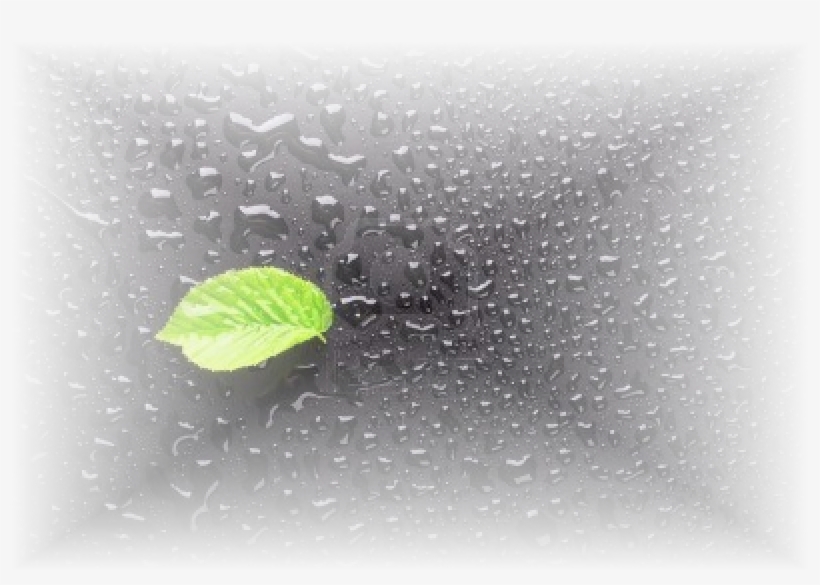 Lluvia - Memory, transparent png