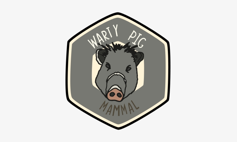 Visit The Zoo And Collect This Animal's Badge In Our - Domestic Pig, transparent png