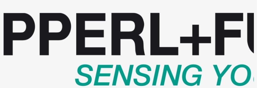 Custom Categories - Clients - Pepperl Fuchs Logo, transparent png