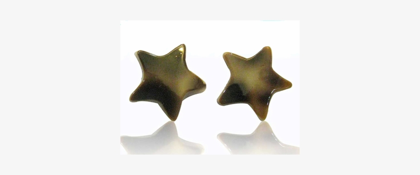 Oído Shell Enchufa Patrón De Estrella Blanca Marrón - Muschel Ohrstecker Stern Braun Weiß Muster 925er Sterlingsilber, transparent png
