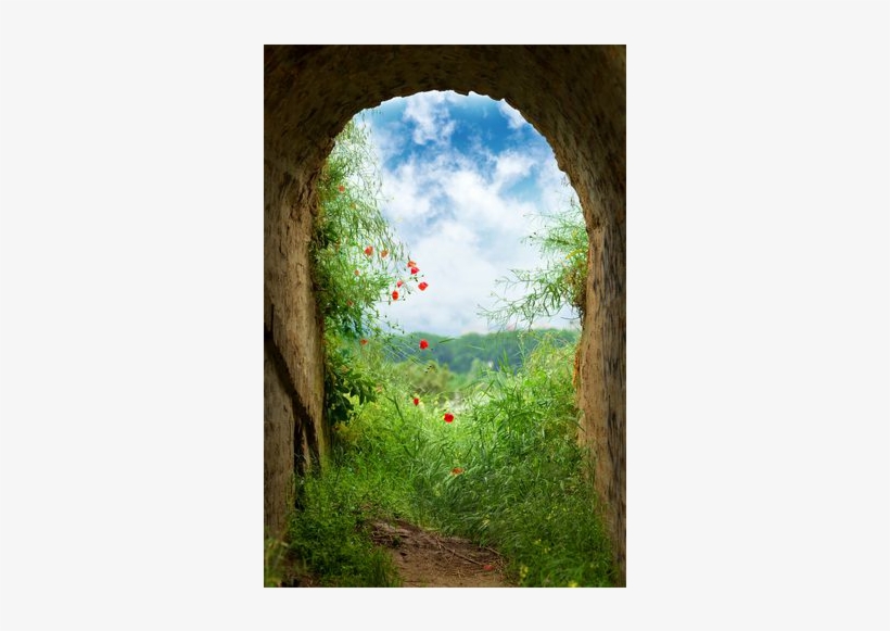 Green Archway With Red Splash - Songs Of Lent - Cd, transparent png