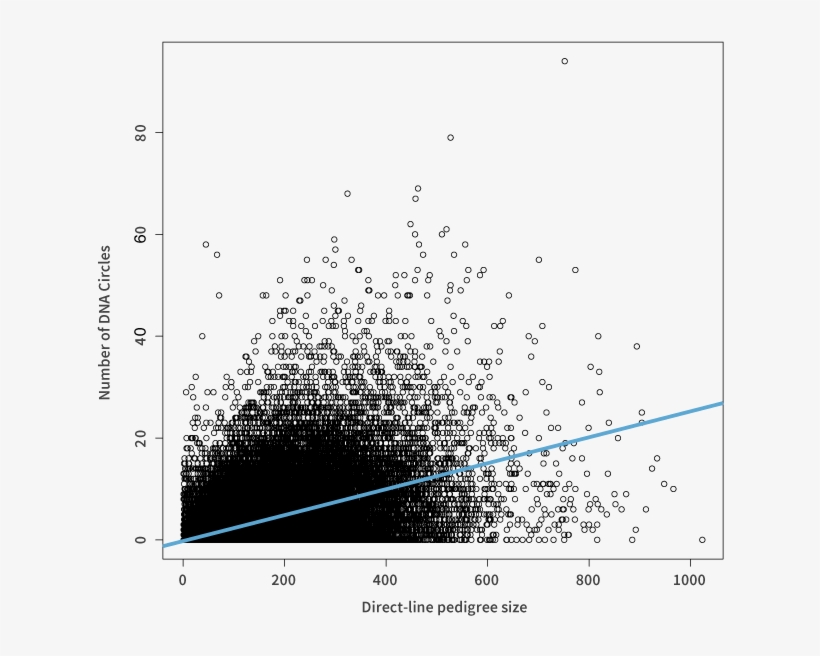 Relationship Between Direct Line Pedigree Size And - Diagram, transparent png