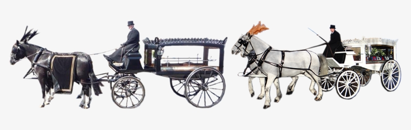 01294 552213 - Horse And Carriage Png, transparent png