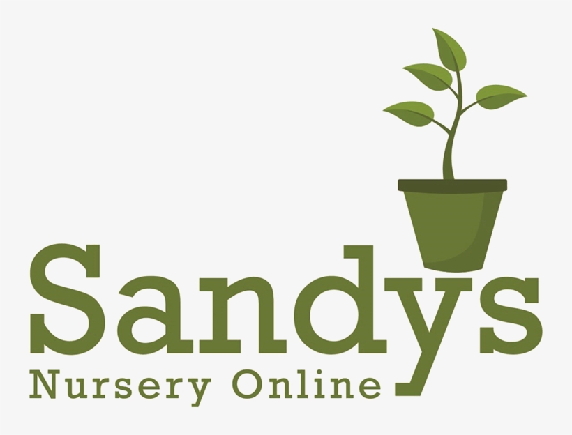 Sandys Nursery Online - Rainbow Comedy Playhouse, transparent png