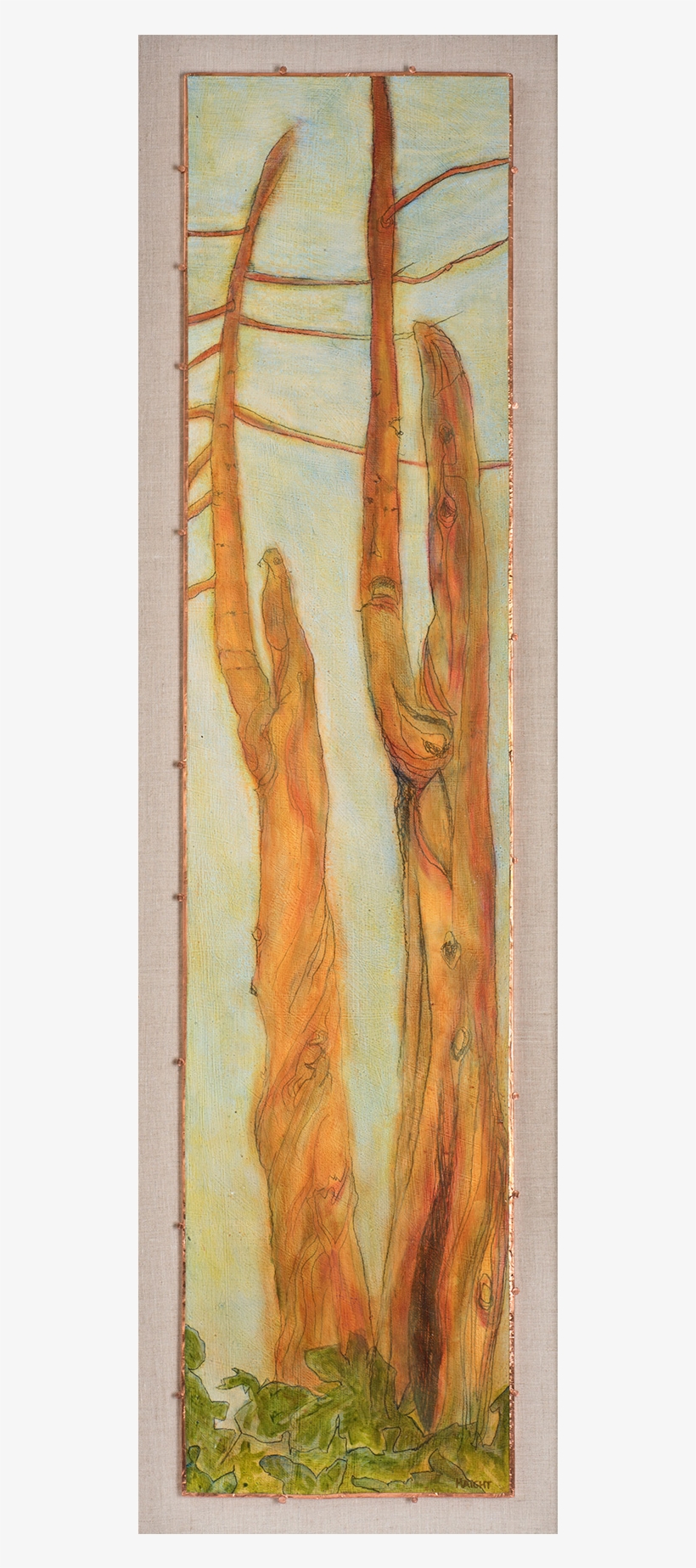 Arborvitae Vii, 49", transparent png