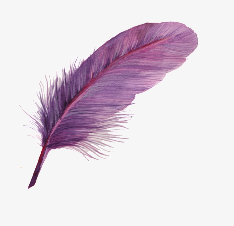 Can Purple Feather Transparent Decorative - Pluma Acuarela Png, transparent png