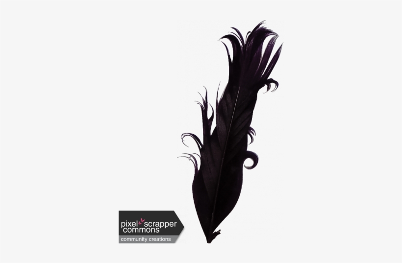 Purple Feather - Headpiece, transparent png
