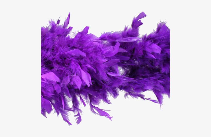 Image Hayes Specialties Corp. Purple Feather Boa 500x573 PNG