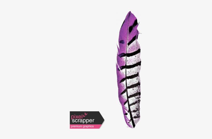 Kenya Elements Feather Purple - Ptm Images Bird Feathers Ii Graphic Art Plaque, transparent png